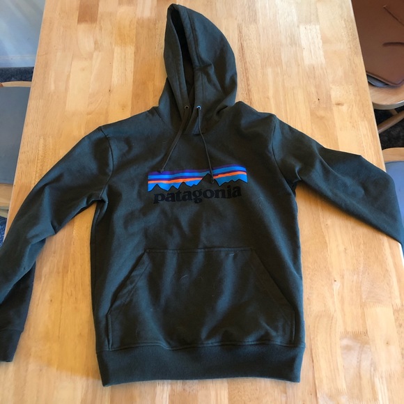 green patagonia hoodie